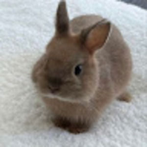 Meet your Posher, Elise